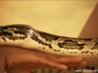 Bollywood και ο enticing snake